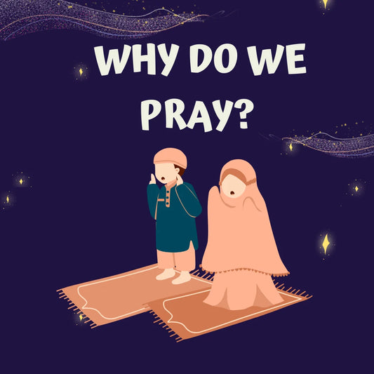 Why do we pray?